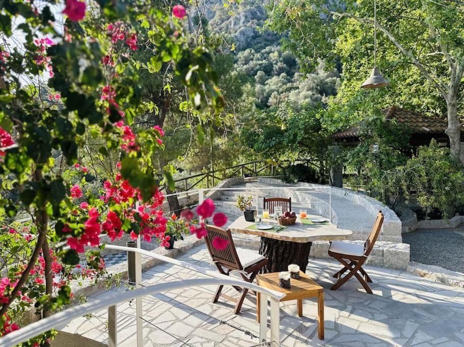 Elia Junior Suite In Epidavros With Shared Pool Неа-Эпидаврос Экстерьер фото